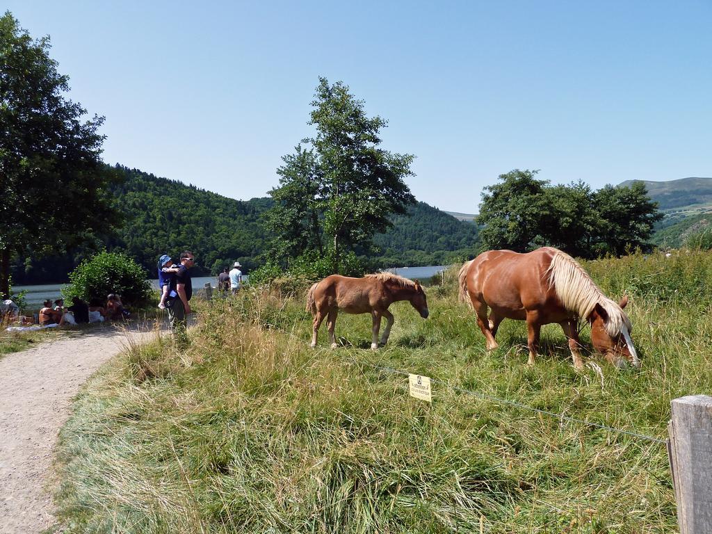 Les Chenets Chambon-sur-Lac Exterior foto