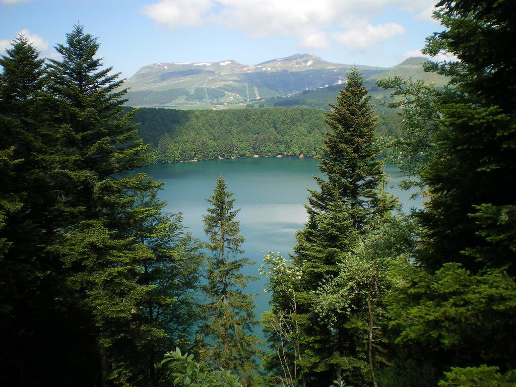 Les Chenets Chambon-sur-Lac Exterior foto
